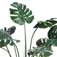 VASO C/ DE EUCALIPTO - 592-460113