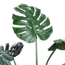 VASO C/ DE EUCALIPTO - 592-460113