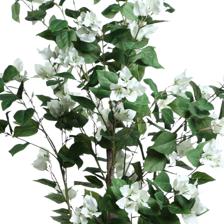 ARTIFICIAL PLANT/AGAVE PLANT - 592-460118