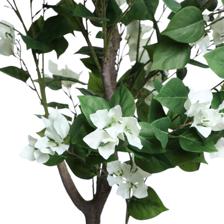 ARTIFICIAL PLANT/AGAVE PLANT - 592-460118