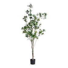 ARTIFICIAL PLANT/ARECA PALM - 592-460123
