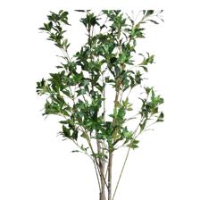 ARTIFICIAL PLANT/ARECA PALM - 592-460123