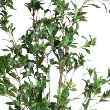 ARTIFICIAL PLANT/ARECA PALM - 592-460123