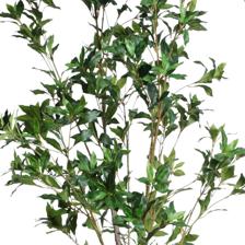 ARTIFICIAL PLANT/ARECA PALM - 592-460123