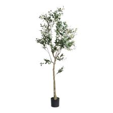 OLIVEIRA C/ VASO 180X90X180CM - 592-460124