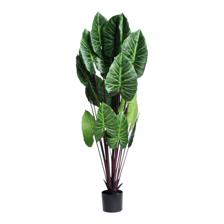 OLIVEIRA C/ VASO 180X90X180CM - 592-460124