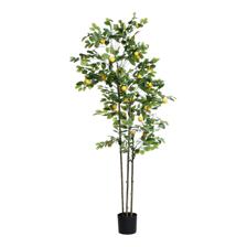 LIMOEIRO COM VASO - 592-460131