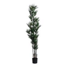 LIMOEIRO COM VASO - 592-460131