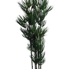 LIMOEIRO COM VASO - 592-460131