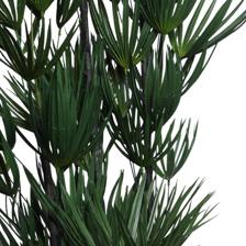 LIMOEIRO COM VASO - 592-460131