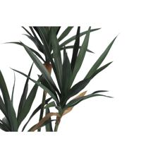 PALMA YUCA C/POTE - 592-460140