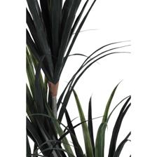 DRACAENA C/POTE 180X80X180CM - 592-460141