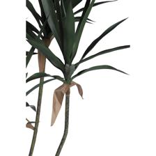 PALMA YUCA C/POTE - 592-460143