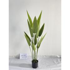 120CM POTTED BEAUTY PLANT - 592-460144