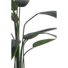 120CM POTTED BEAUTY PLANT X15LVS IN POT - 592-460144