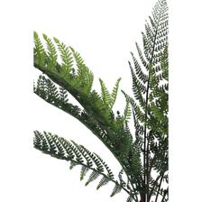 HELECHO C/POTE 70X60X70CM - 592-460146