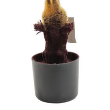 agave palm - 592-460151