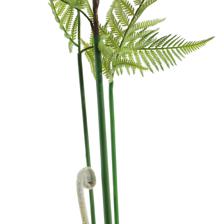 agave palm - 592-460151