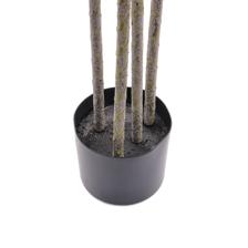 AGAVE C/POTE 15X60X150CM - 592-460156