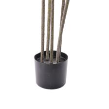 AGAVE C/POTE - 592-460157