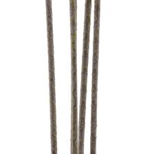 AGAVE C/POTE - 592-460157