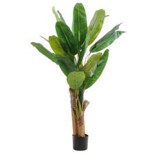 BANANA C/ POTE - 592-460160