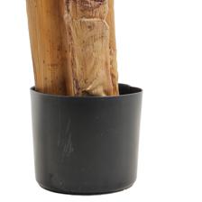 BANANA C/ POTE - 592-460160