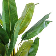 BANANA C/ POTE - 592-460160