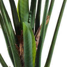 BANANA COM C/ 180X120X180CM - 592-460162