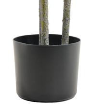 YUCA C/POTE 150X60X150CM - 592-460168