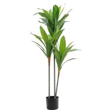 moundlily - 592-460169