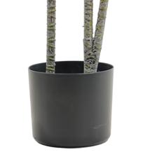 moundlily - 592-460169