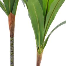 moundlily - 592-460169