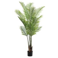 PALMA C/POTE - 592-460178