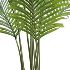 PALMA C/POTE - 592-460178