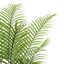 PALMA C/POTE - 592-460178