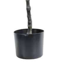 VASO DE FICUS LYRATA C/ 90X50X90CM - 592-460181