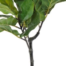 VASO DE FICUS LYRATA C/ 90X50X90CM - 592-460181
