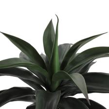 AGAVE C/POTE 90X60X90CM - 592-460187