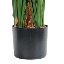 moundlily - 592-460189