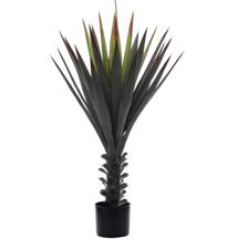 PLANTA DE AGAVE 60X90X90CM - 592-460195