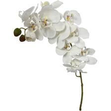 ORQUÍDEA BRANCA 72X10X10CM - 592-480039