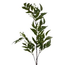 Bamboo leaves - 592-480123