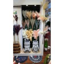 Pampas grass - 592-480154