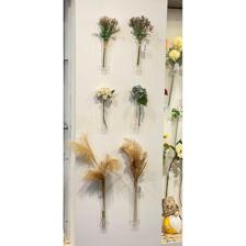 Pampas grass - 592-480156