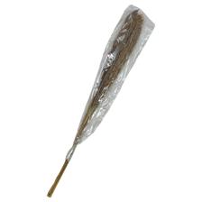 DRIED PLANTS BUNCH - 592-500014