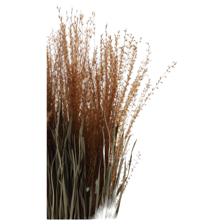 ARTE VEGETAL C/ VASO 24X24X58CM - 592-500027