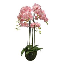 ORQUIDEA DECOR - 592-510001