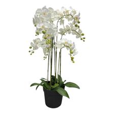 ARTIFICIAL FLOWER (Orchid bonsai) - 592-510002