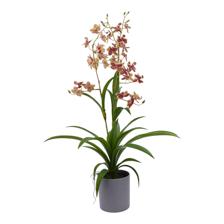 Orquídea 50X45X72CM - 592-510021